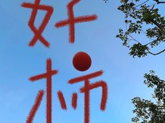 -壹点壹客·生日蛋糕(南山店)