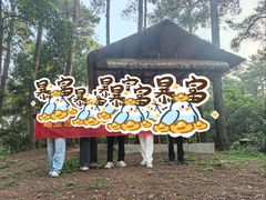 -三门江国家森林公园