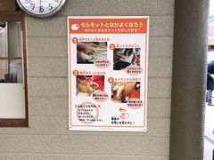 -井之头恩赐公园