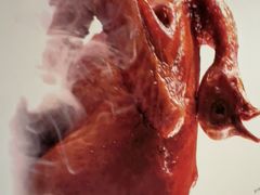 -豫满楼(正光路店)