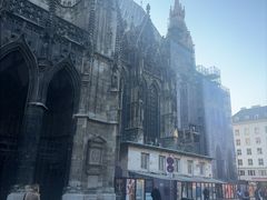 -斯蒂芬主教座堂(Stephansdom)