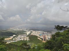 -梧桐山风景名胜区