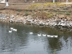 -北京张裕爱斐堡酒庄