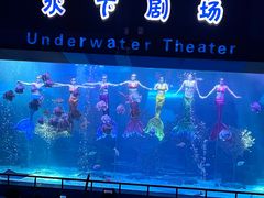 -泉城欧乐堡海洋极地世界