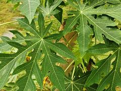 -恩格贝生态旅游区