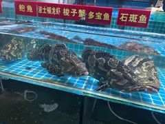 -西北农副产品中心批发市场(广安路店)