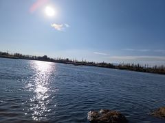-呈贡滇池生态湿地公园