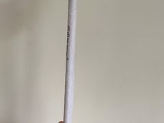 -和牛 烧肉寿喜烧涮锅 善(心斎橋店)