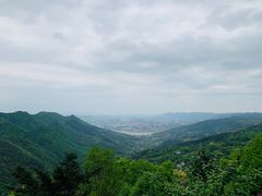 -大金鹰园