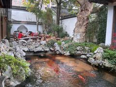 -鲤院·新中式美学·庭院餐厅(夫子庙店)