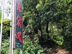 -火炉山森林公园