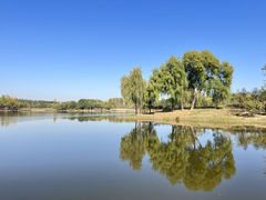 -东郊湿地公园