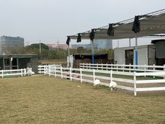 -栖露营camping·天幕烧烤·团建拓展·采摘营地