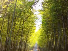 -雅达·阳羡溪山小镇中心