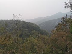 -静之湖湖畔餐厅