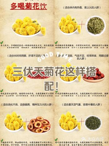 三伏天菊花这样搭配︱直接泡水太浪费！