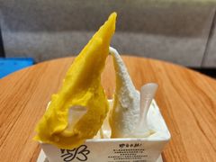 -野人先生现做冰淇淋(北京环宇荟店)
