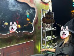 -七彩云南欢乐世界