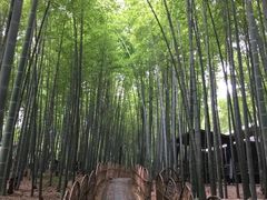 -宝岩生态观光园