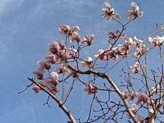 -南通博物苑-崇川人民公园