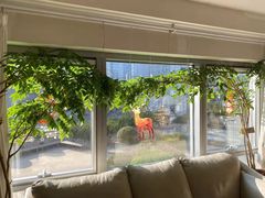 -精德口腔·种植修复·儿牙中心(财富中心店)