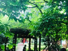 -峨眉山报国寺