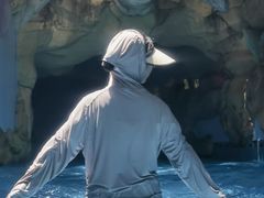 -重庆海昌加勒比海水世界