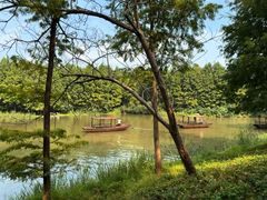 -溱湖国家湿地公园