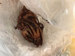 -水一方现烤鱿鱼丝大连特产(三八广场店)