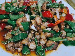 -煲来饱去冷水鱼