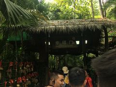-呀诺达热带雨林