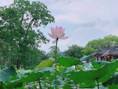 -惠州西湖丰渚园