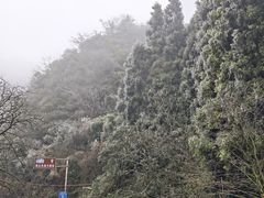 -娄山关景区