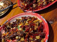 -柴窝堡22号辣子鸡·传承新疆菜