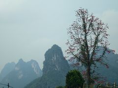 -明仕田园