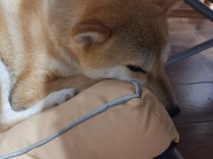 -About Bistro關於·泰式家庭料理