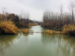 -溱湖国家湿地公园