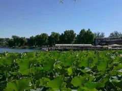 -小王府(什刹海店)