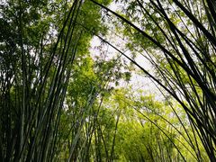 -晓港公园