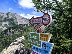 -朱雀国家森林公园