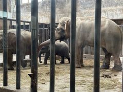 -石家庄市动物园