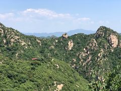 -大岭沟猕猴桃谷风景区