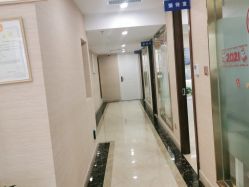 -碧莲盛·不剃发植发