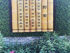 -汇龙潭