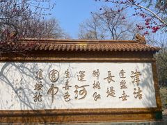 -桃花堤公园