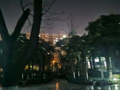 -莲湖公园