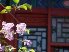 -恭王府博物馆
