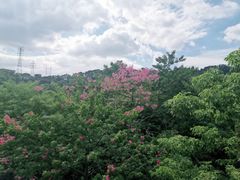 -梅峰山地公园
