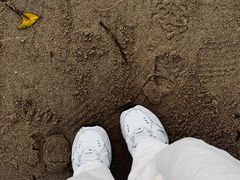 -白城沙滩