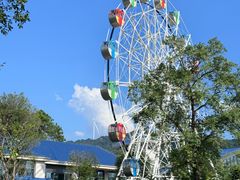 -森波拉奇妙世界